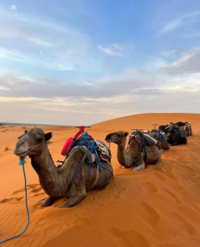 Top ten desert camp